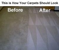 Magic Touch Carpet Cleaning of Tampa image 3